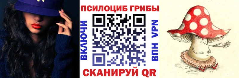 Купить где Володарск Галлюциногенные грибы GOLDEN TEACHER